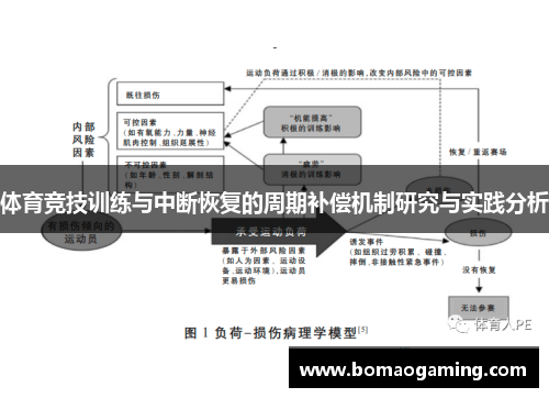 体育竞技训练与中断恢复的周期补偿机制研究与实践分析