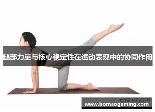 腿部力量与核心稳定性在运动表现中的协同作用